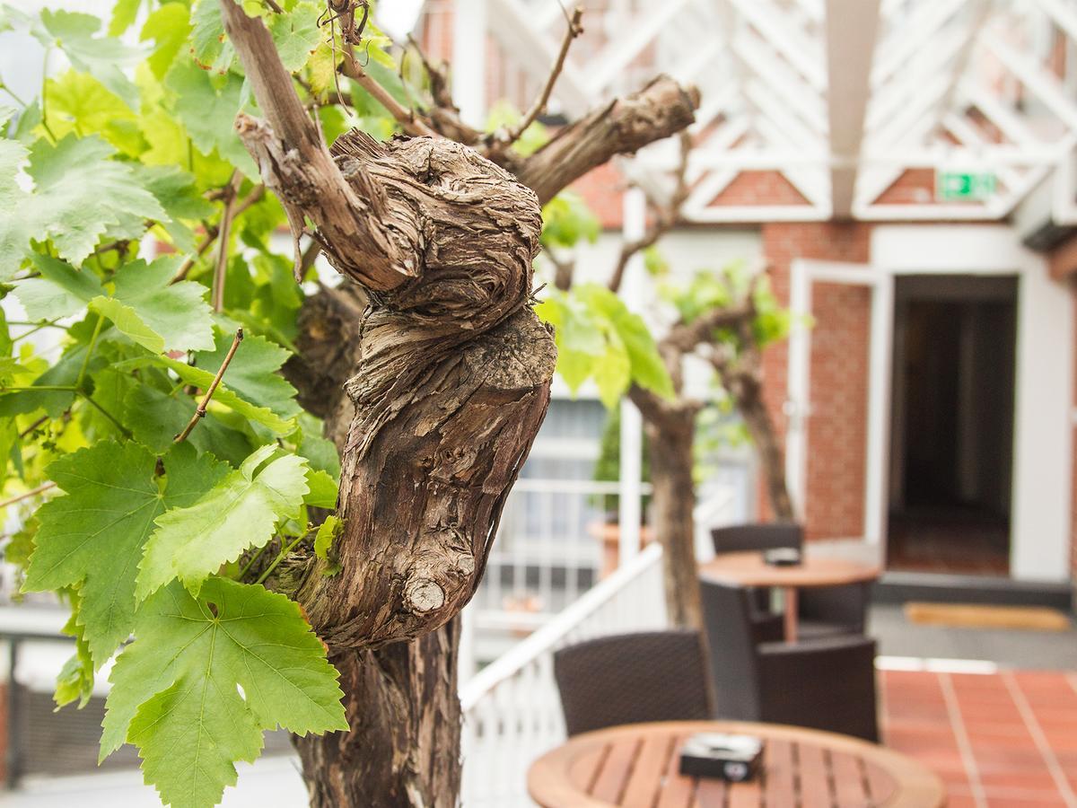 Hotel & Restaurant Wefers Emsdetten Bagian luar foto